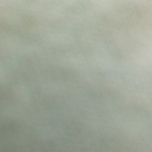 Meet your Posher, Maya